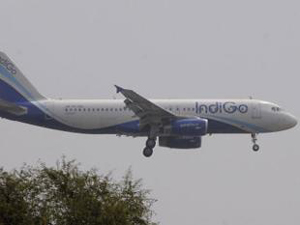 Indigo 27
